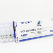 Picture of Boldenone Undecylenate 250mg/ml 1ml amp