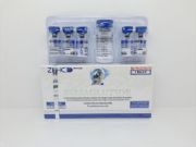 Picture of SEMAGLUTIDE + Bacteriostatic Water ZPHC