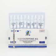 Picture of Testosterone AQ 100mg/ml 1ml amp ZPHC