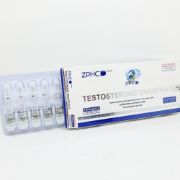 Picture of Testosterone Enanthate 250mg/ml 1ml amp ZPHC