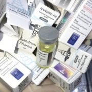 Picture of Nandro Ph 100mg/ml [Spectrum Pharma] 🇺🇸 USA Domestic