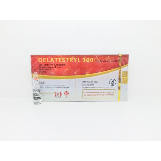 Picture of DELATESTRYL 300 (Test E) 1ml amp [CanadaBioLabs]