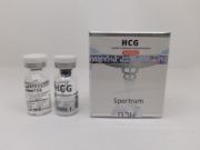 Picture of HCG 5000iu [Spectrum Pharma]