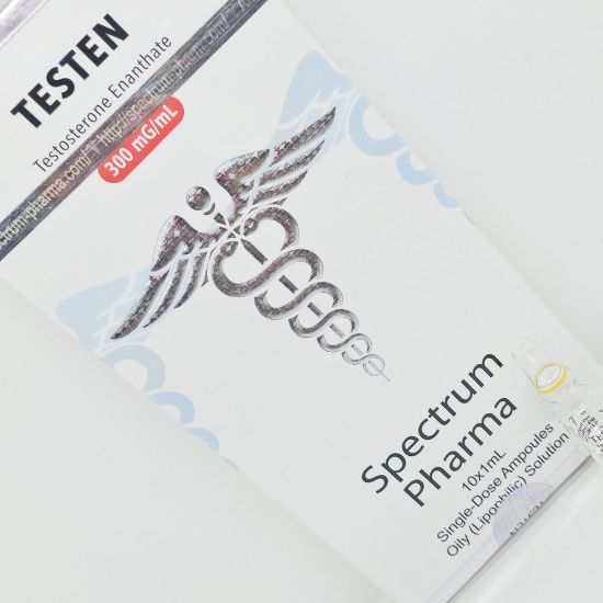 Picture of TESTEN 250mg/ml 1ml amp [Spectrum Pharma]