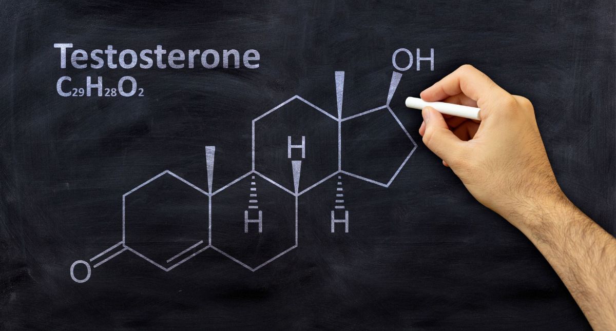 Everything You Need to Know About Testosterone: The King of Hormones for Muscle Growth Everything You Need to Know About Testosterone: The King of Hormones for Muscle Growth